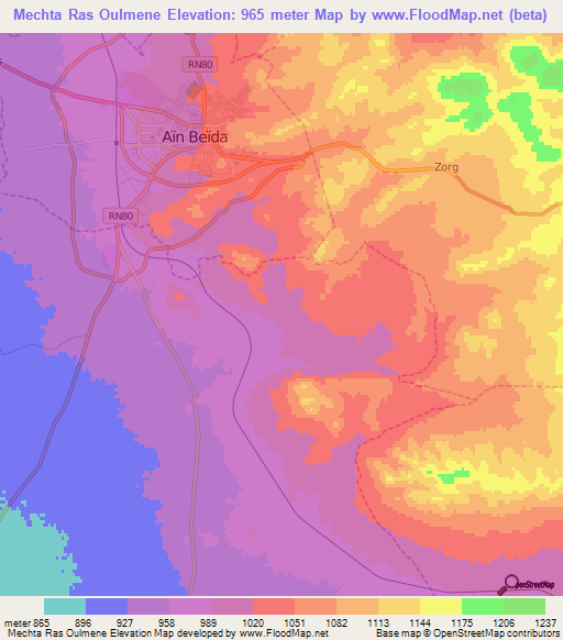 Mechta Ras Oulmene,Algeria Elevation Map