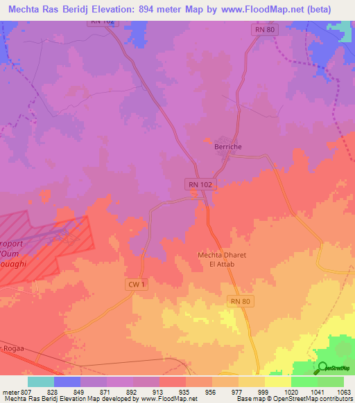 Mechta Ras Beridj,Algeria Elevation Map