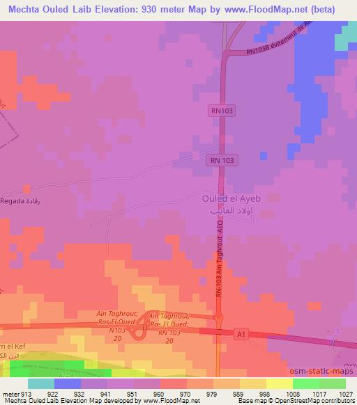 Mechta Ouled Laib,Algeria Elevation Map