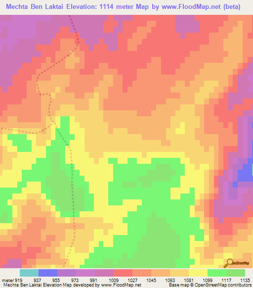Mechta Ben Laktai,Algeria Elevation Map