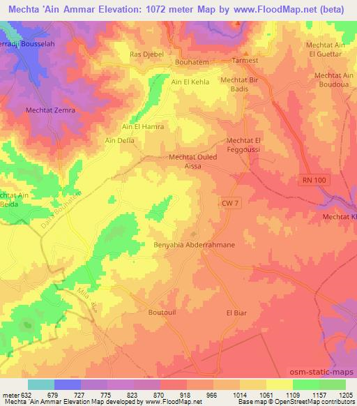 Mechta 'Ain Ammar,Algeria Elevation Map