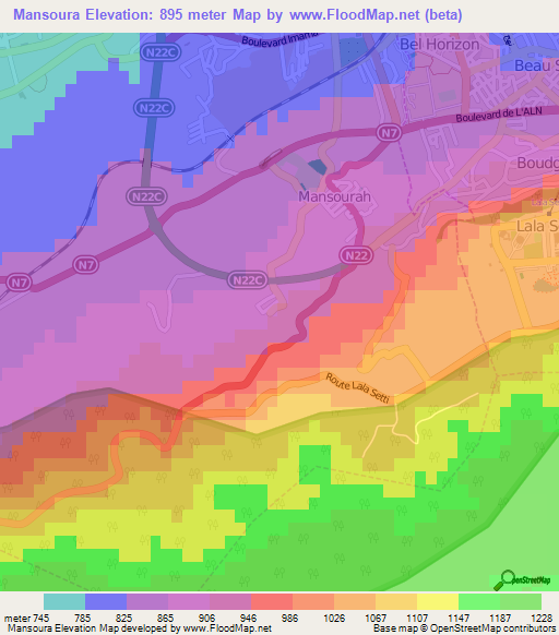 Mansoura,Algeria Elevation Map