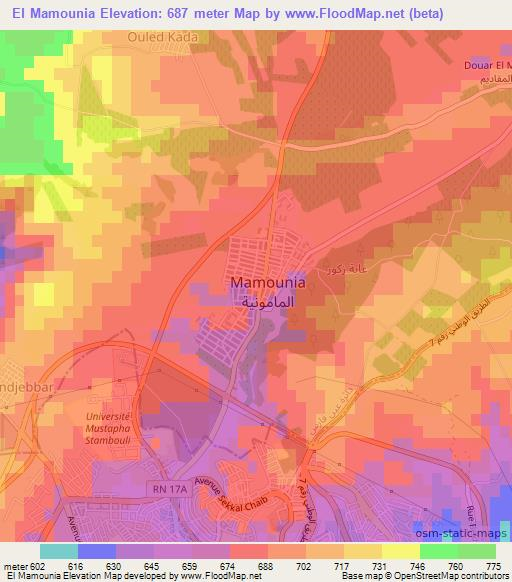 El Mamounia,Algeria Elevation Map