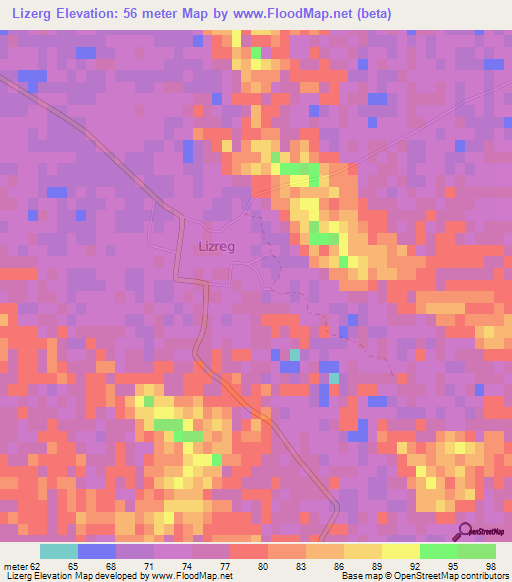 Lizerg,Algeria Elevation Map