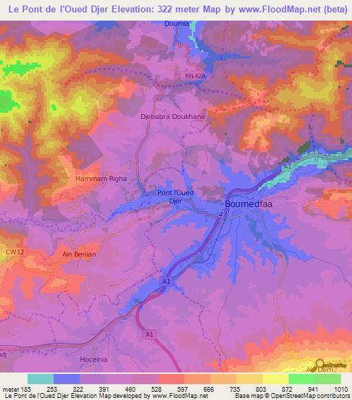 Le Pont de l'Oued Djer,Algeria Elevation Map