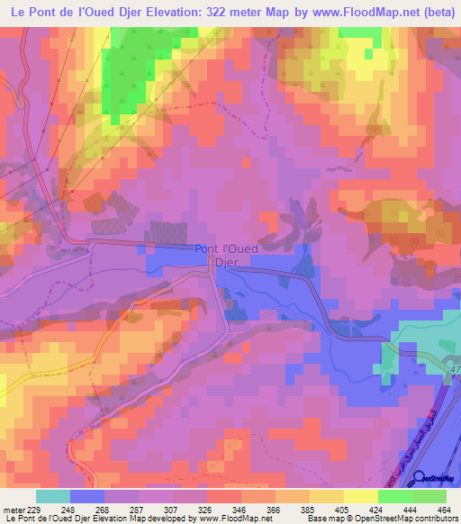 Le Pont de l'Oued Djer,Algeria Elevation Map