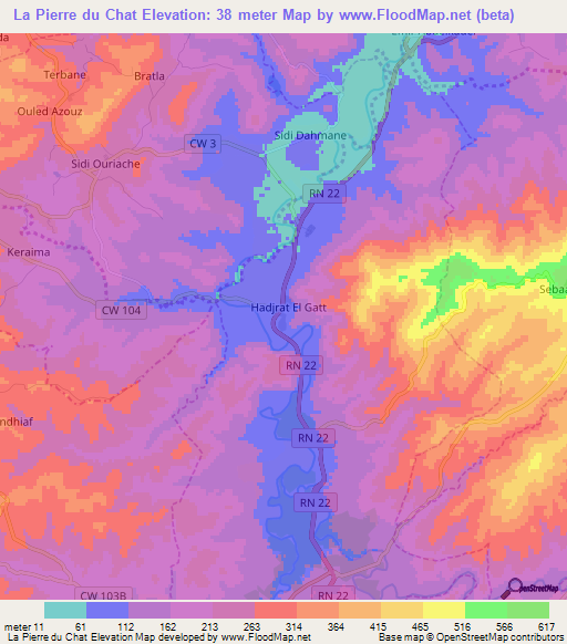 La Pierre du Chat,Algeria Elevation Map