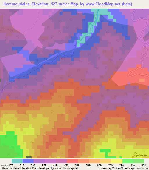 Hammoudaine,Algeria Elevation Map