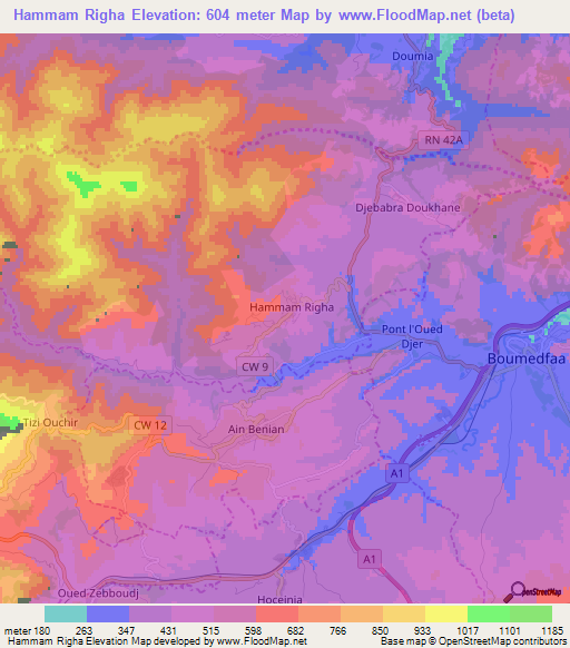 Hammam Righa,Algeria Elevation Map