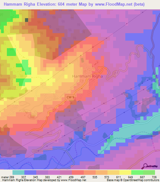Hammam Righa,Algeria Elevation Map