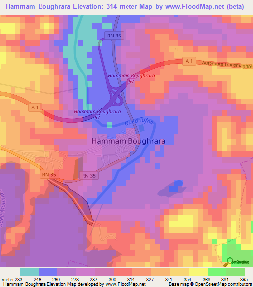 Hammam Boughrara,Algeria Elevation Map