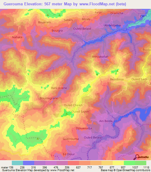 Guerouma,Algeria Elevation Map
