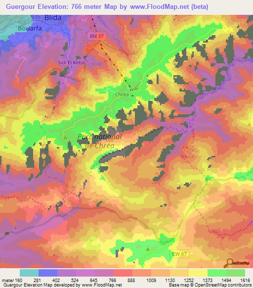 Guergour,Algeria Elevation Map