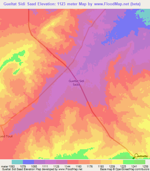 Gueltat Sidi Saad,Algeria Elevation Map
