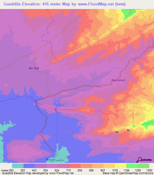 Gueddila,Algeria Elevation Map