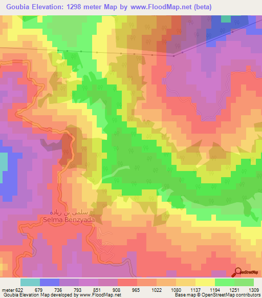 Goubia,Algeria Elevation Map