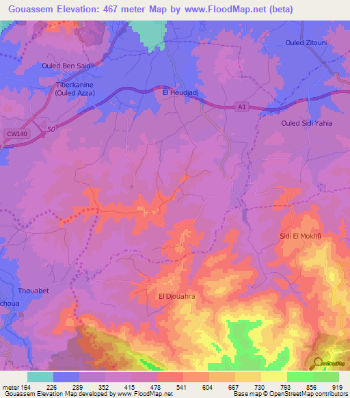 Gouassem,Algeria Elevation Map