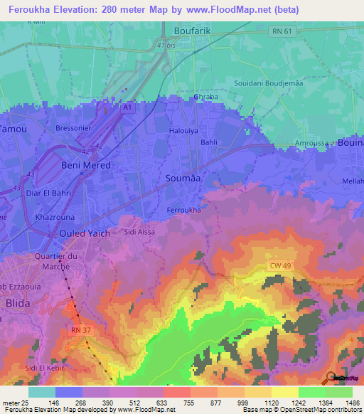 Feroukha,Algeria Elevation Map