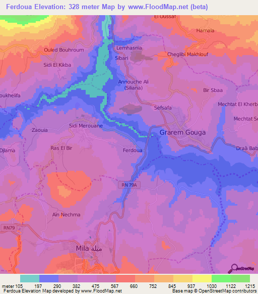 Ferdoua,Algeria Elevation Map