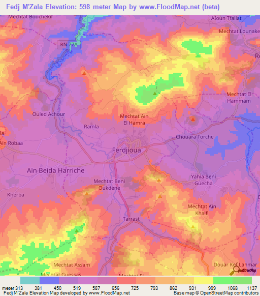 Fedj M'Zala,Algeria Elevation Map