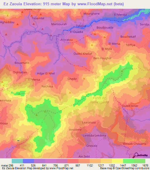 Ez Zaouia,Algeria Elevation Map