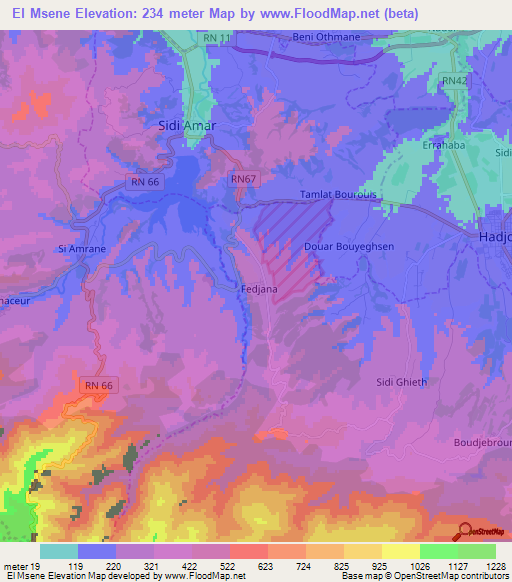 El Msene,Algeria Elevation Map