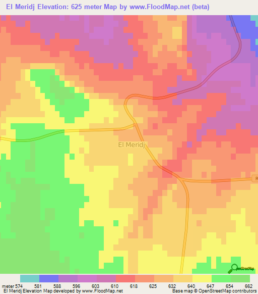 El Meridj,Algeria Elevation Map