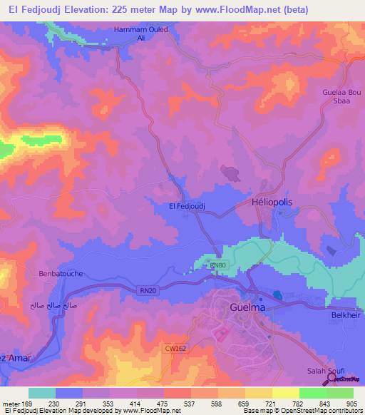 El Fedjoudj,Algeria Elevation Map