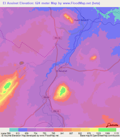 El Aouinet,Algeria Elevation Map
