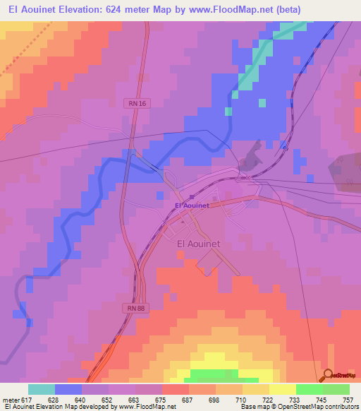 El Aouinet,Algeria Elevation Map