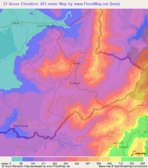 El Aioun,Algeria Elevation Map