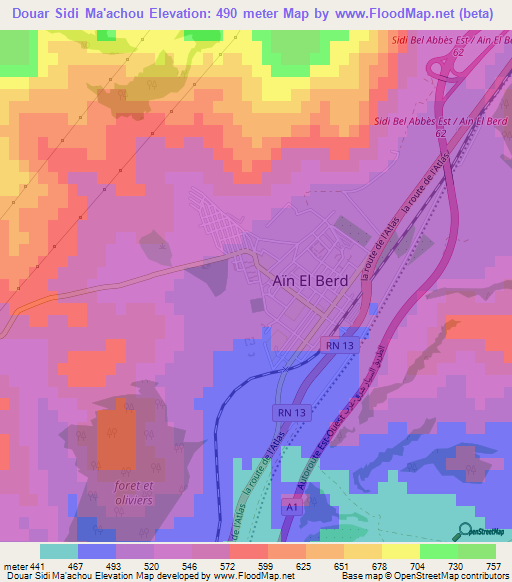 Douar Sidi Ma'achou,Algeria Elevation Map