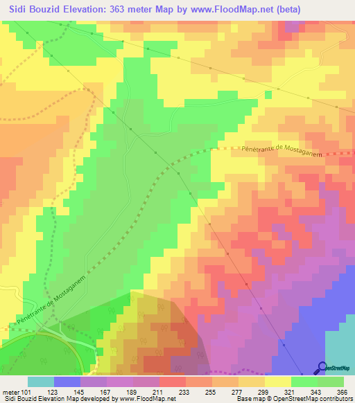 Sidi Bouzid,Algeria Elevation Map