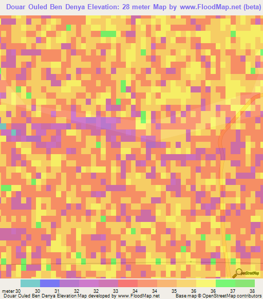 Douar Ouled Ben Denya,Algeria Elevation Map