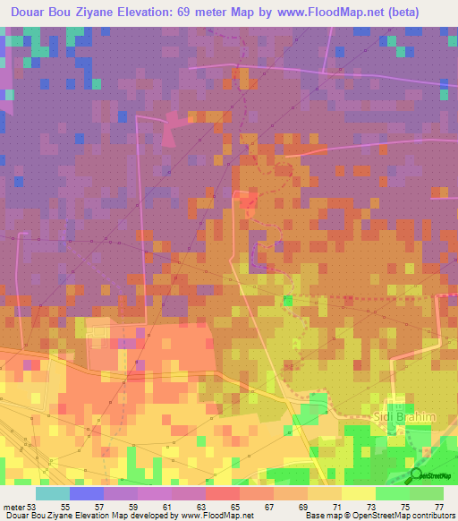 Douar Bou Ziyane,Algeria Elevation Map