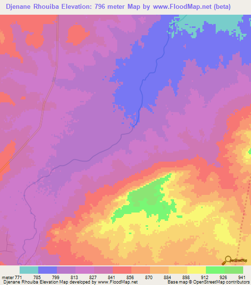 Djenane Rhouiba,Algeria Elevation Map