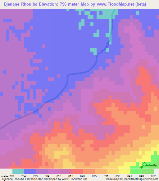 Djenane Rhouiba,Algeria Elevation Map