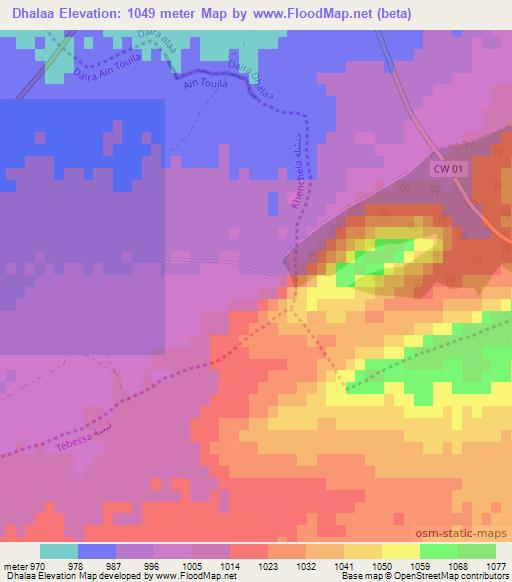 Dhalaa,Algeria Elevation Map