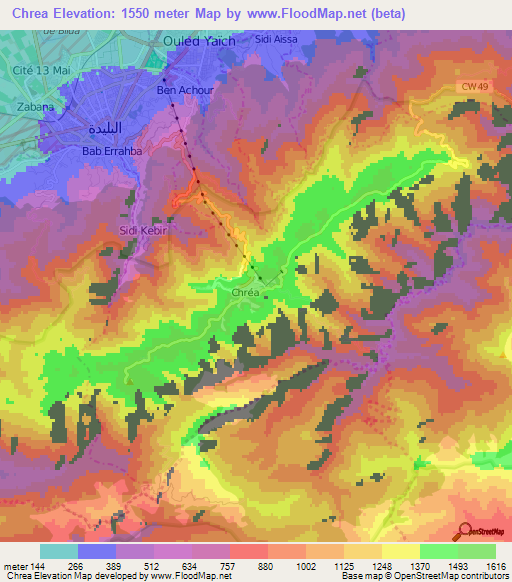 Chrea,Algeria Elevation Map