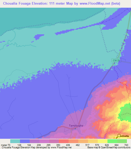 Choualia Fouaga,Algeria Elevation Map