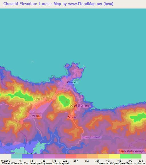 Chetaibi,Algeria Elevation Map