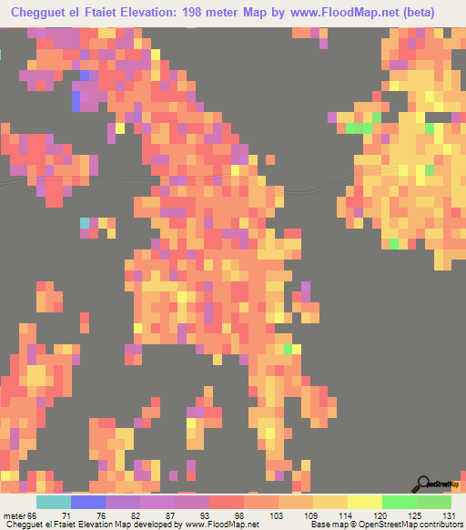 Chegguet el Ftaiet,Algeria Elevation Map
