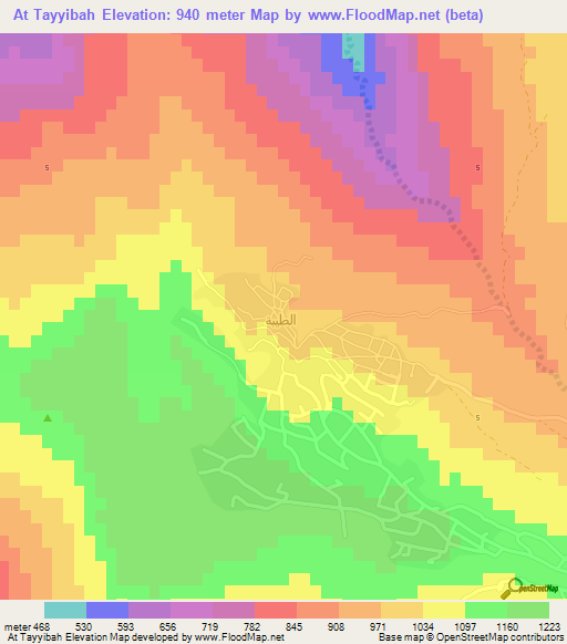 At Tayyibah,Jordan Elevation Map