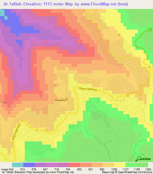 At Tafilah,Jordan Elevation Map