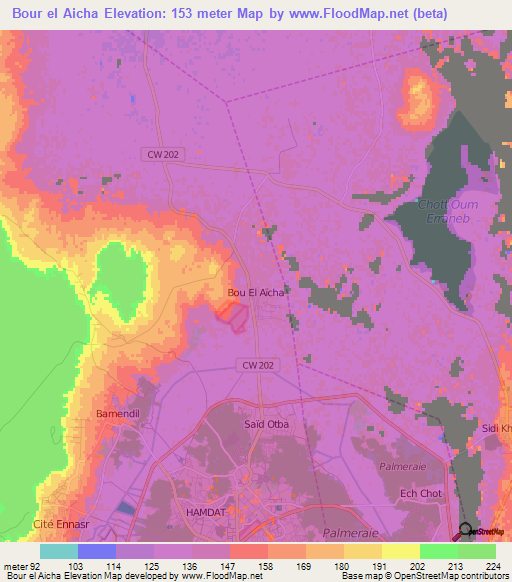 Bour el Aicha,Algeria Elevation Map