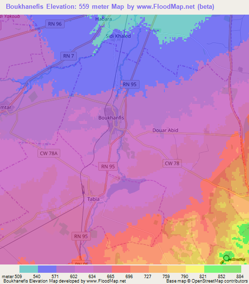 Boukhanefis,Algeria Elevation Map