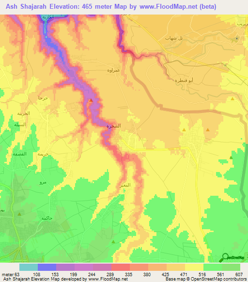 Ash Shajarah,Jordan Elevation Map