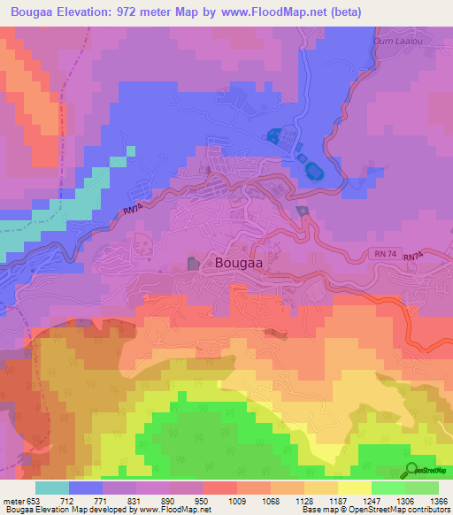 Bougaa,Algeria Elevation Map