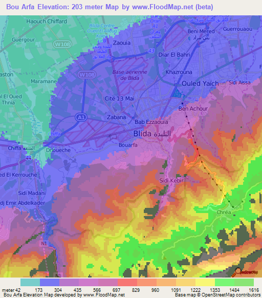 Bou Arfa,Algeria Elevation Map