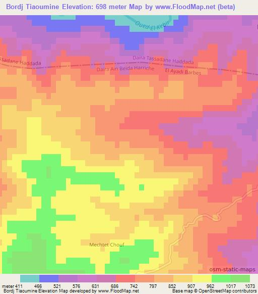 Bordj Tiaoumine,Algeria Elevation Map